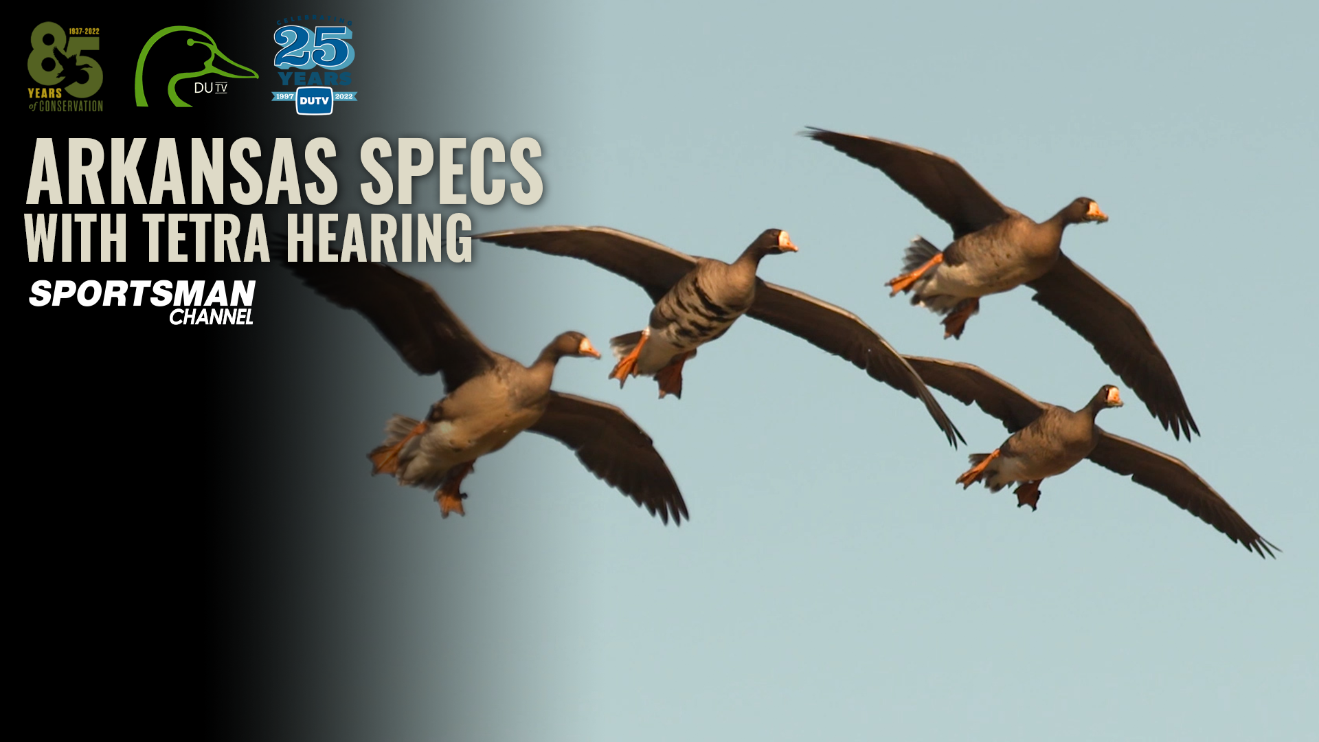 Arkansas Specs with Tetra Hearing • DU TV