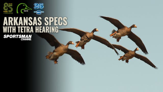 Arkansas Specs with Tetra Hearing • D...