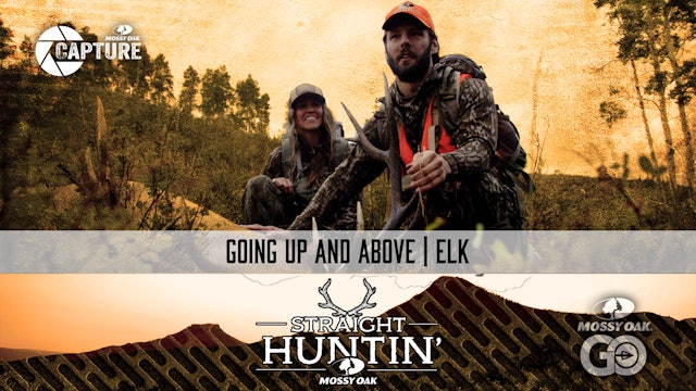 Going Up and Above • Colorado Elk • Straight Huntin'
