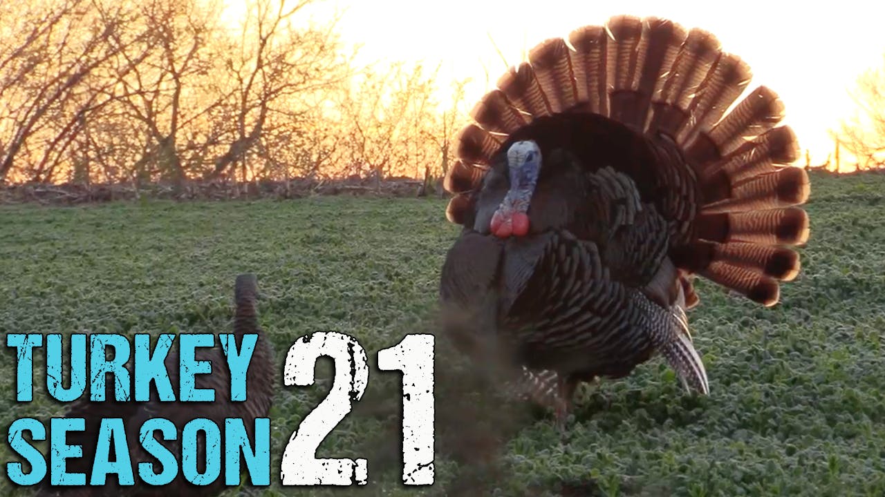 Turkey Season 2021 • SUNRISE Turkey SMASH! • Drury Outdoors Mossy Oak GO