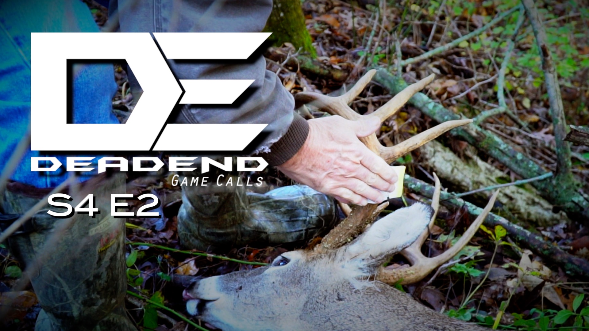 Easton's Iowa Buck • Dead End Game Calls