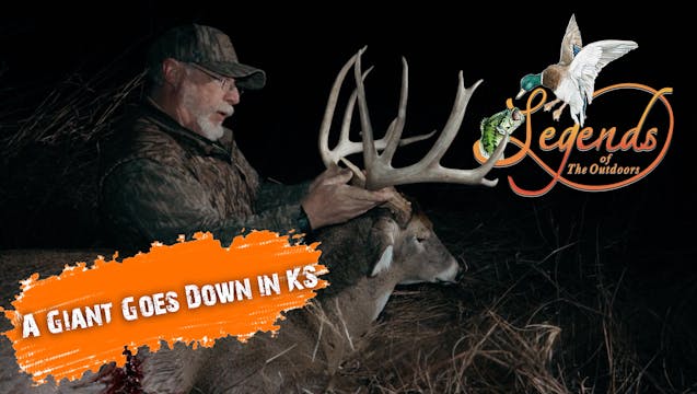 A Giant Goes Down In Kansas • Legends...