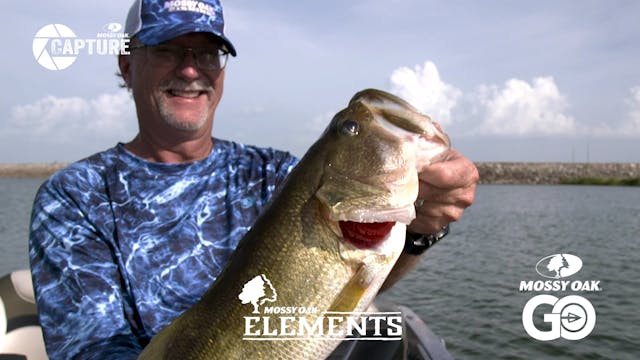 Wade Middleton • Elements