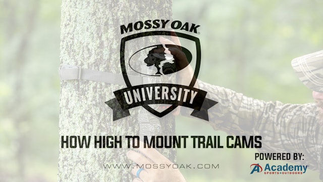 How High Or Low To Mount Trail Cams