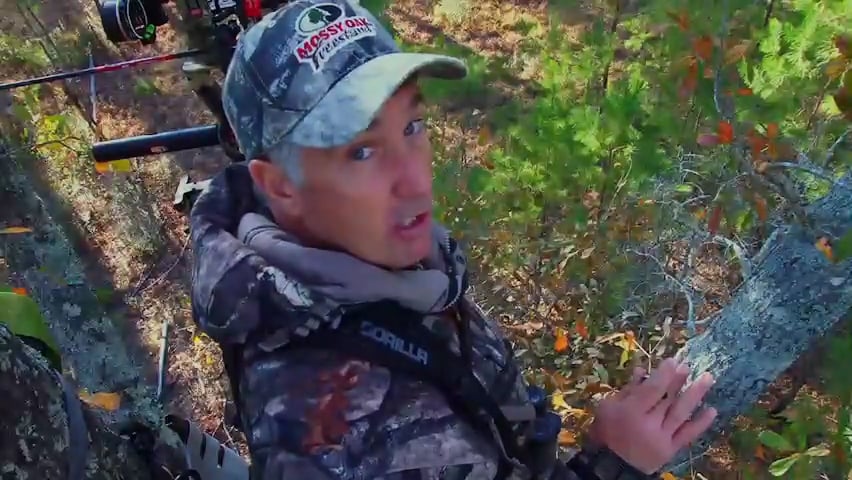 Mature Alabama Bucks • Rut Hunting in the Heart of Dixie