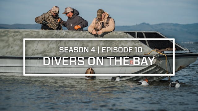 Last Pass Episode 10 • Divers On The Bay