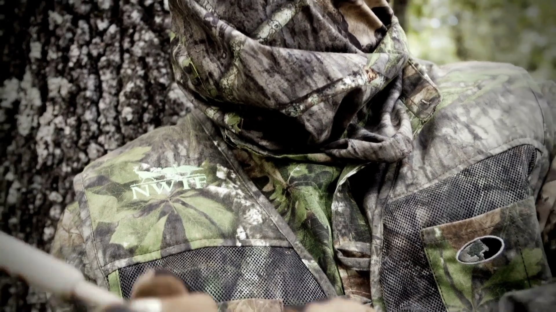 A New Hope • A Survivor in the Deer Woods