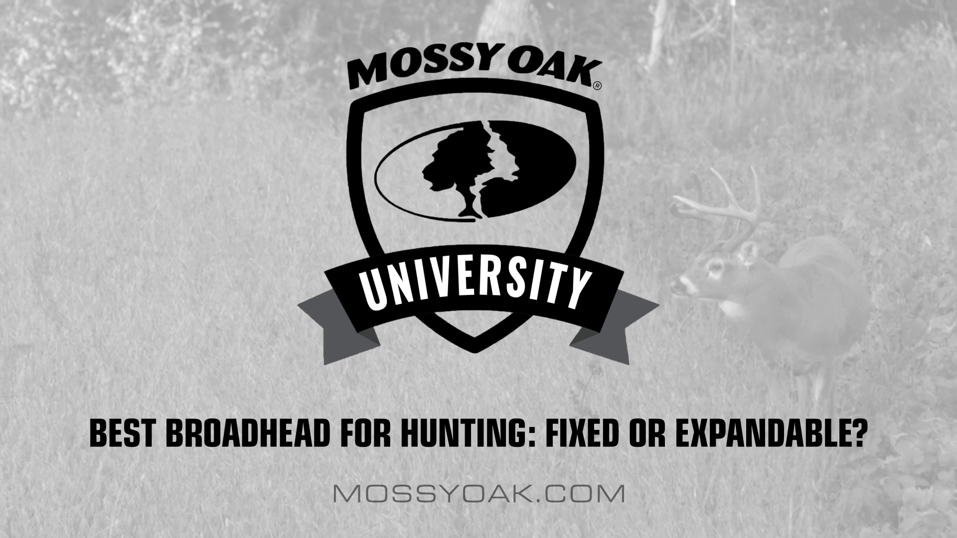 Best Broadhead for Hunting • Mossy Oak University