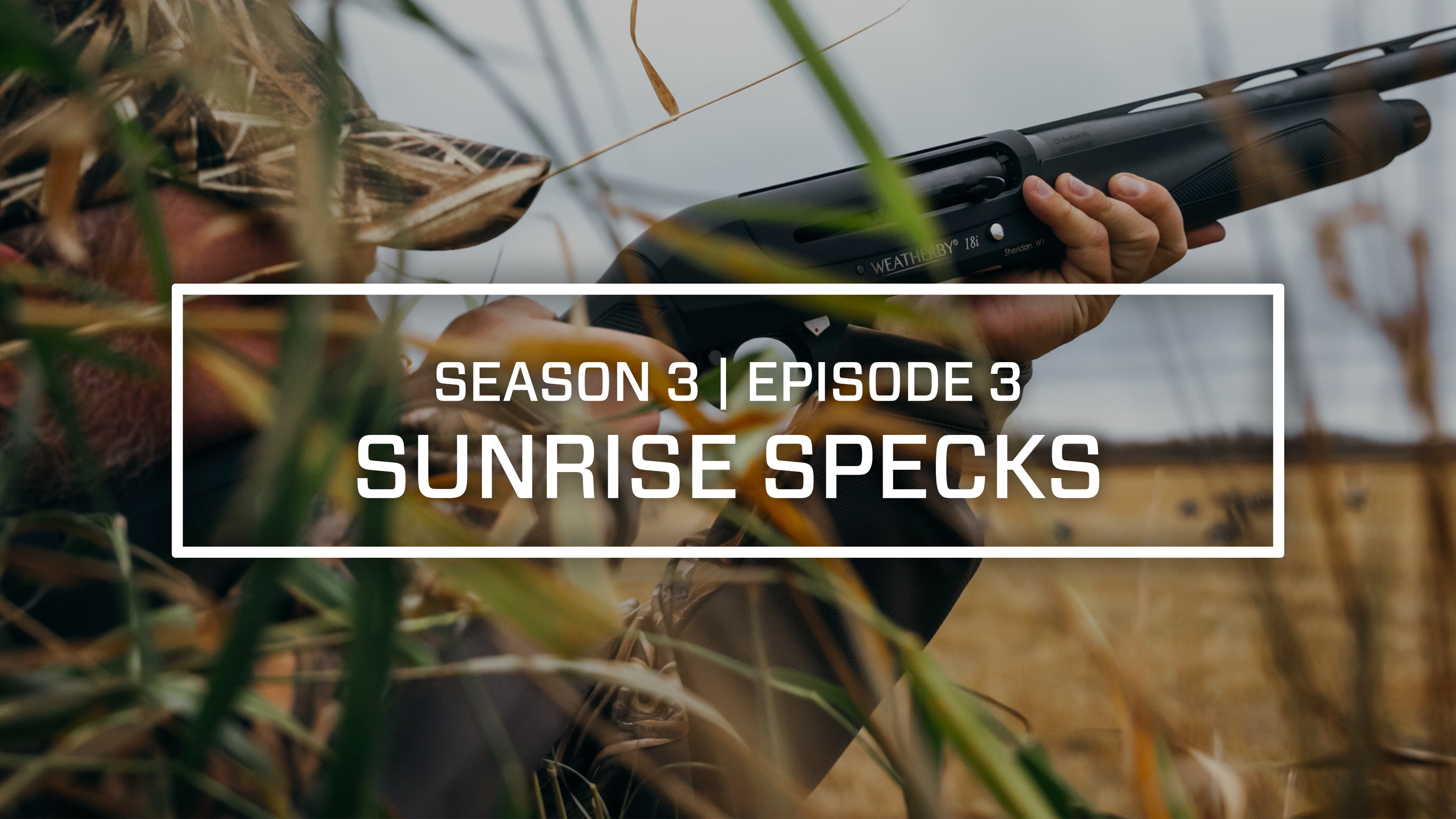 Last Pass Episode 3 • Sunrise Specks