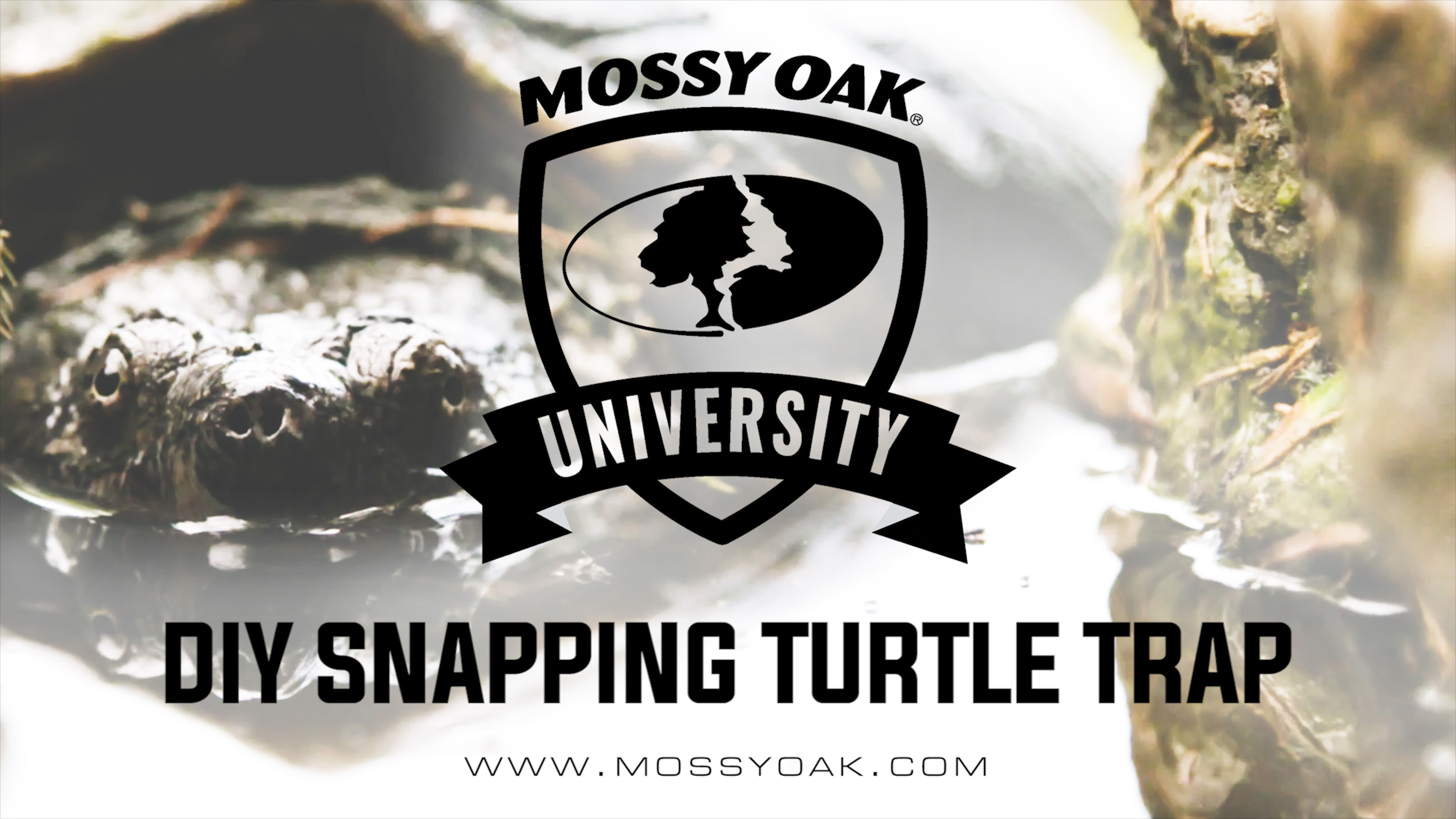 DIY Snapping Turtle Trap