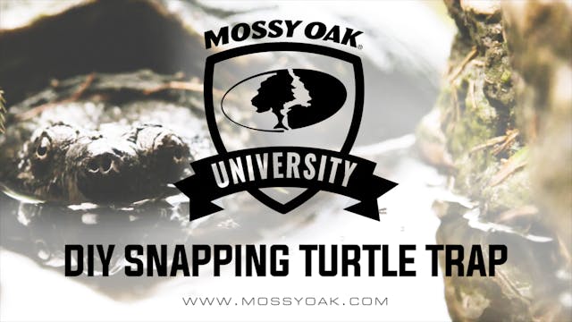 DIY Snapping Turtle Trap