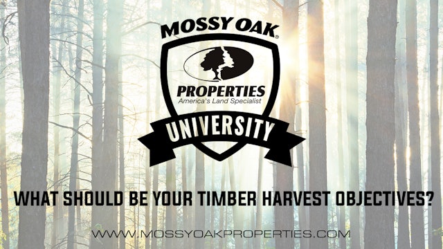 What Should Be Your Timber Harvest Objectives?