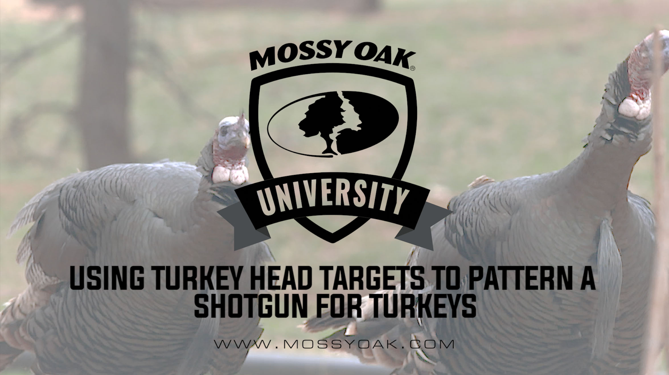 Using Turkey Head Targets to Pattern a Shotgun for Turkeys