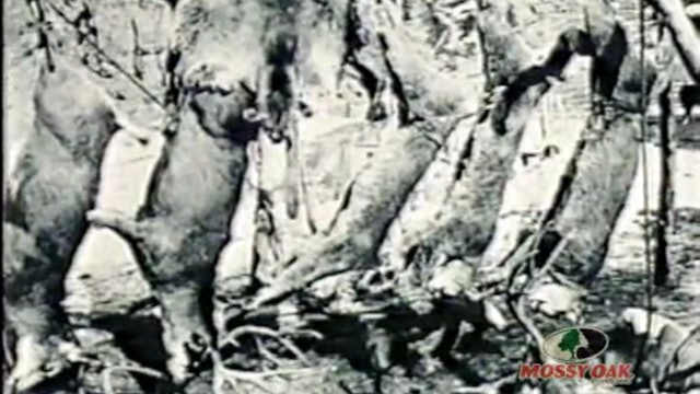 Farmers and Hunters Feeding the Hungry • Deer Hunts Provide Food for the Hungry