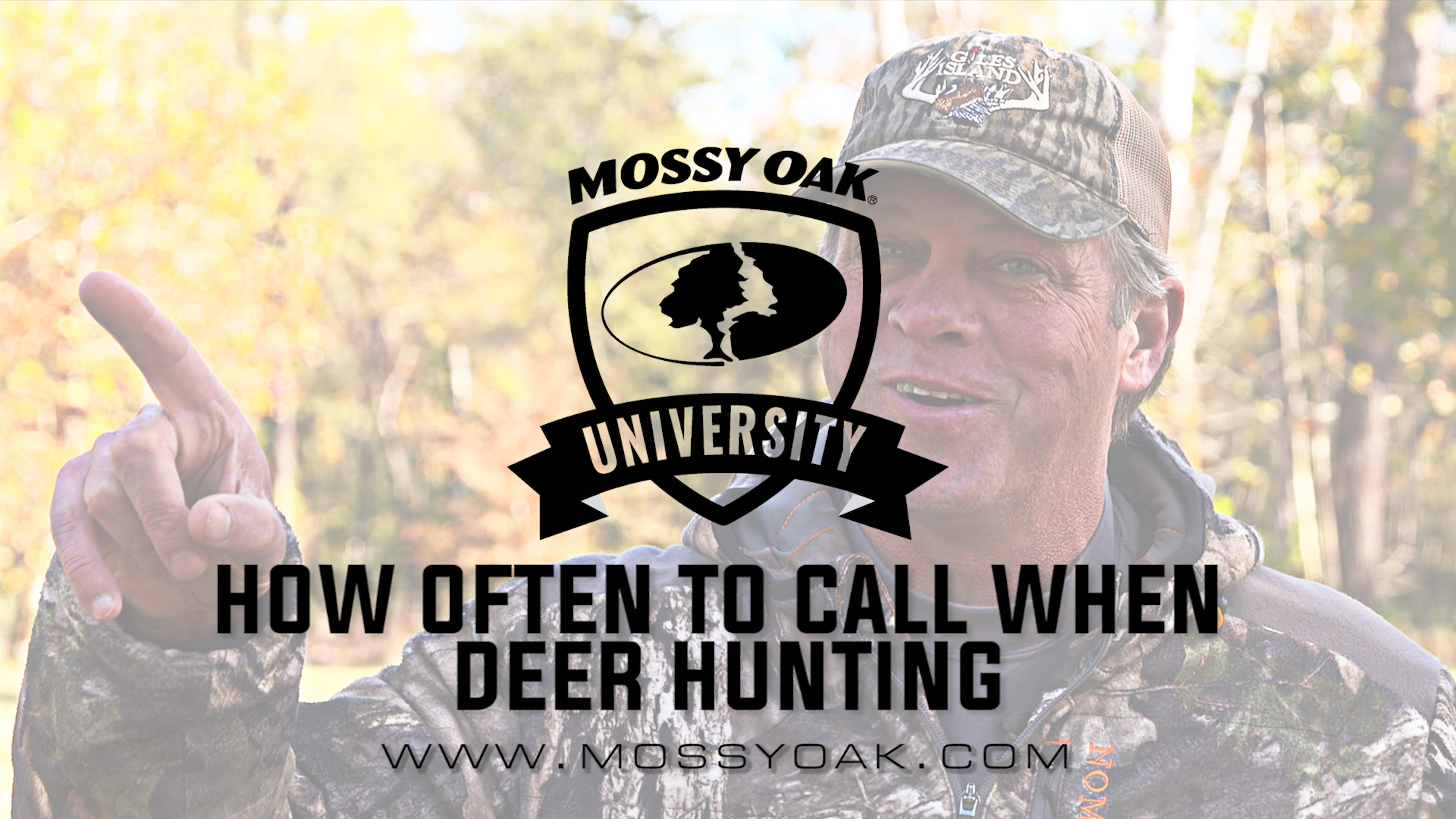 How Often Should You Grunt Or Call | Pre-Rut Deer Calling