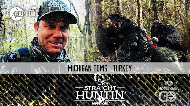 Michigan Toms • Eastern Hunting • Straight Huntin'