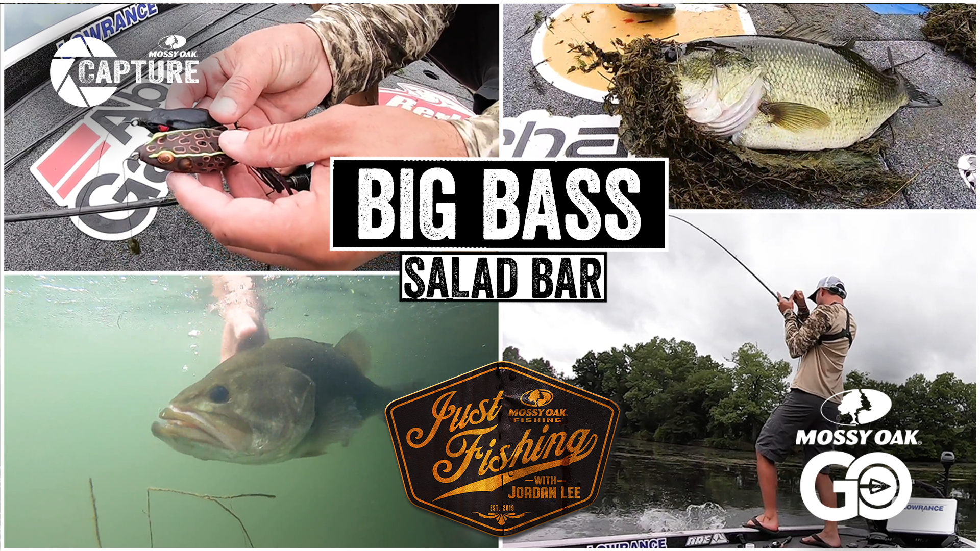 Big Bass Salad Bar • Just Fishing with Jordan Lee