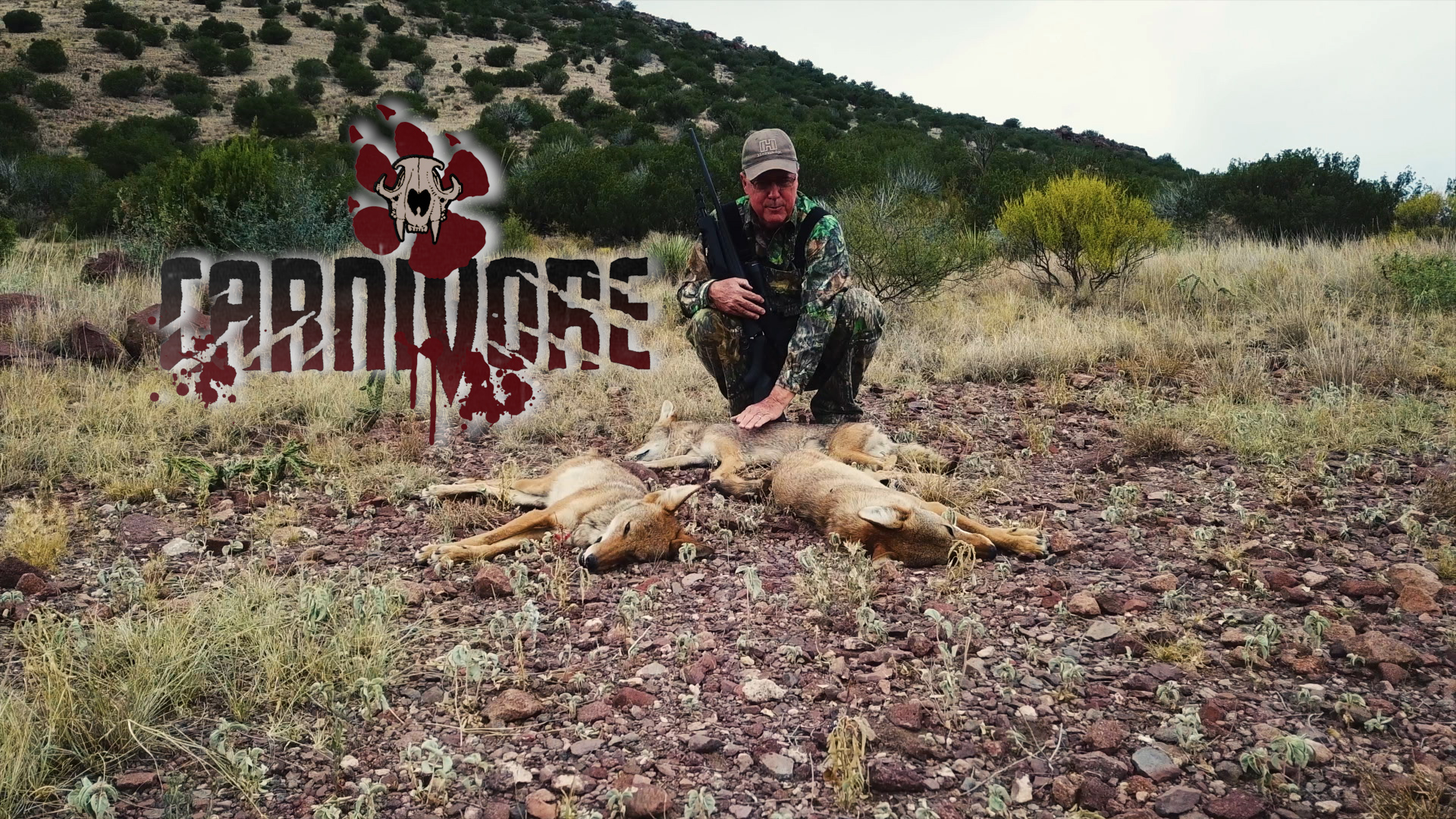 Desert Dogs • Carnivore