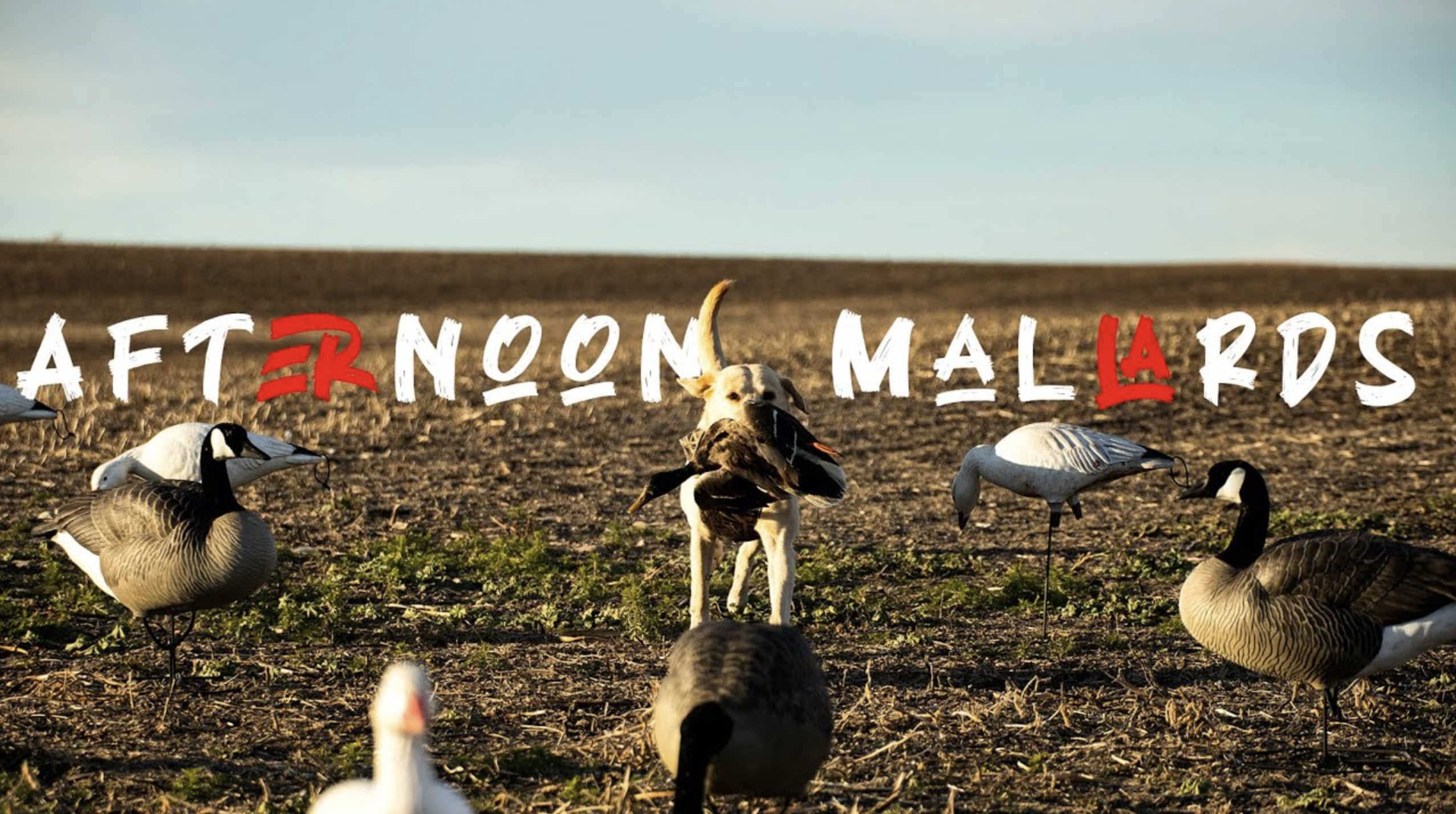 North Dakota REVENGE! pt 2 • Heartland Waterfowl