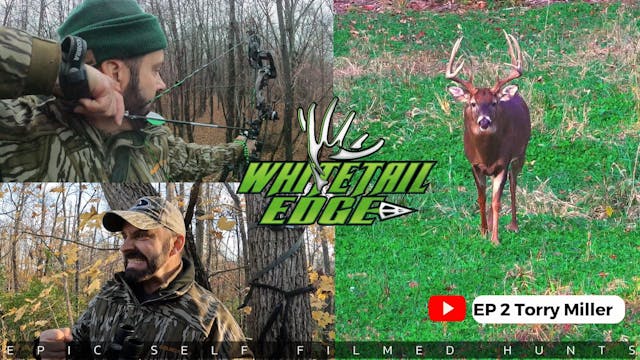 Illinois Rut Action | Calling In Two ...