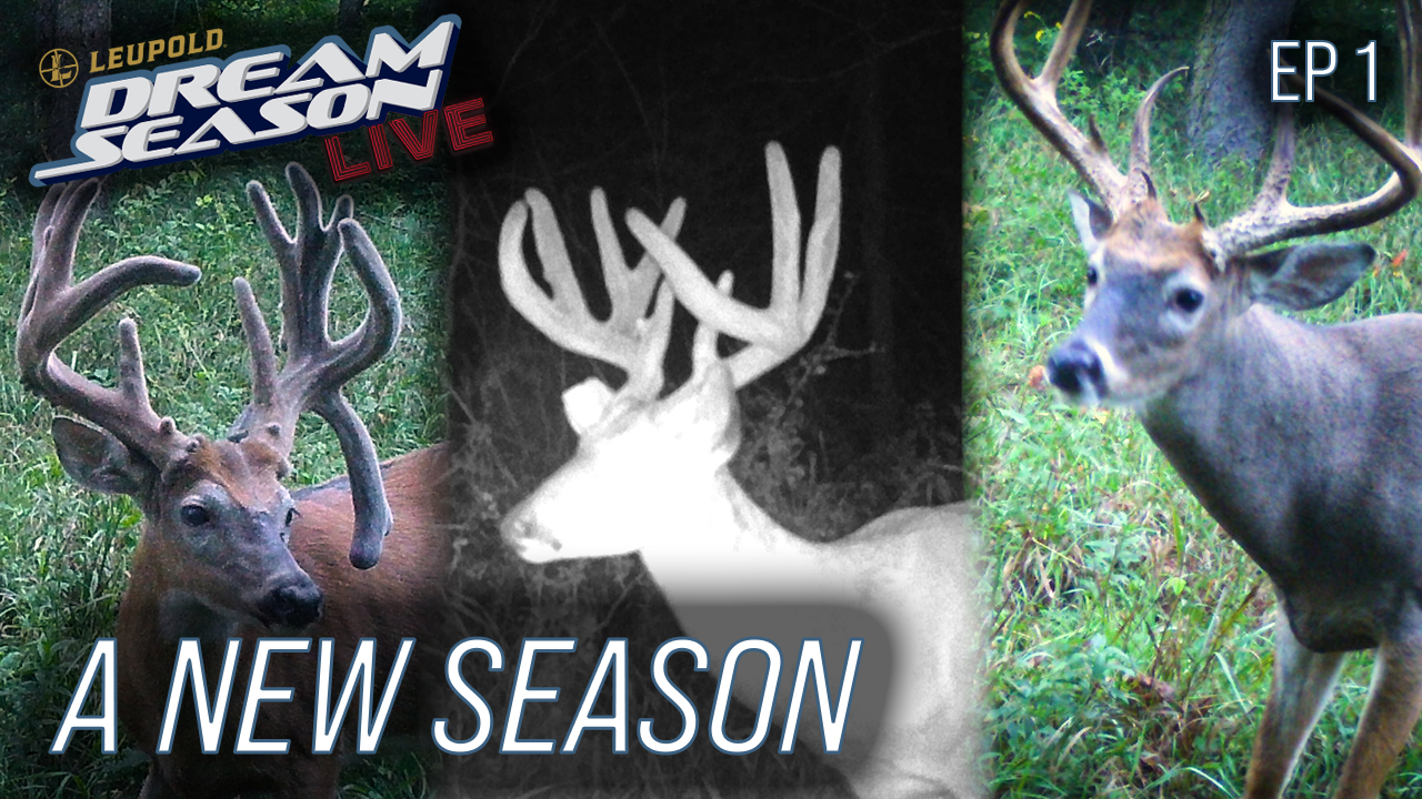 A New Season With New Targets, Closing In On Opening Day • Dream Season Live