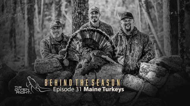 Maine Turkeys • Behind the Season