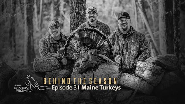 Maine Turkeys • Behind the Season