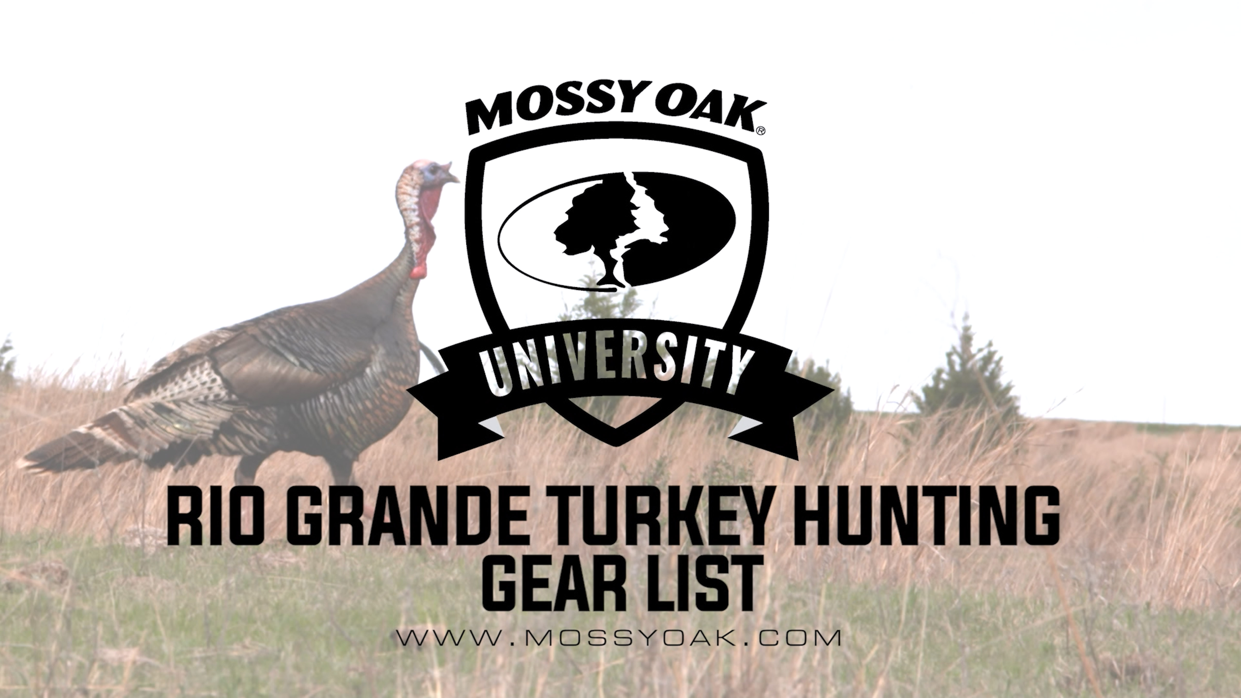 Rio Grande Turkey Hunting Gear List