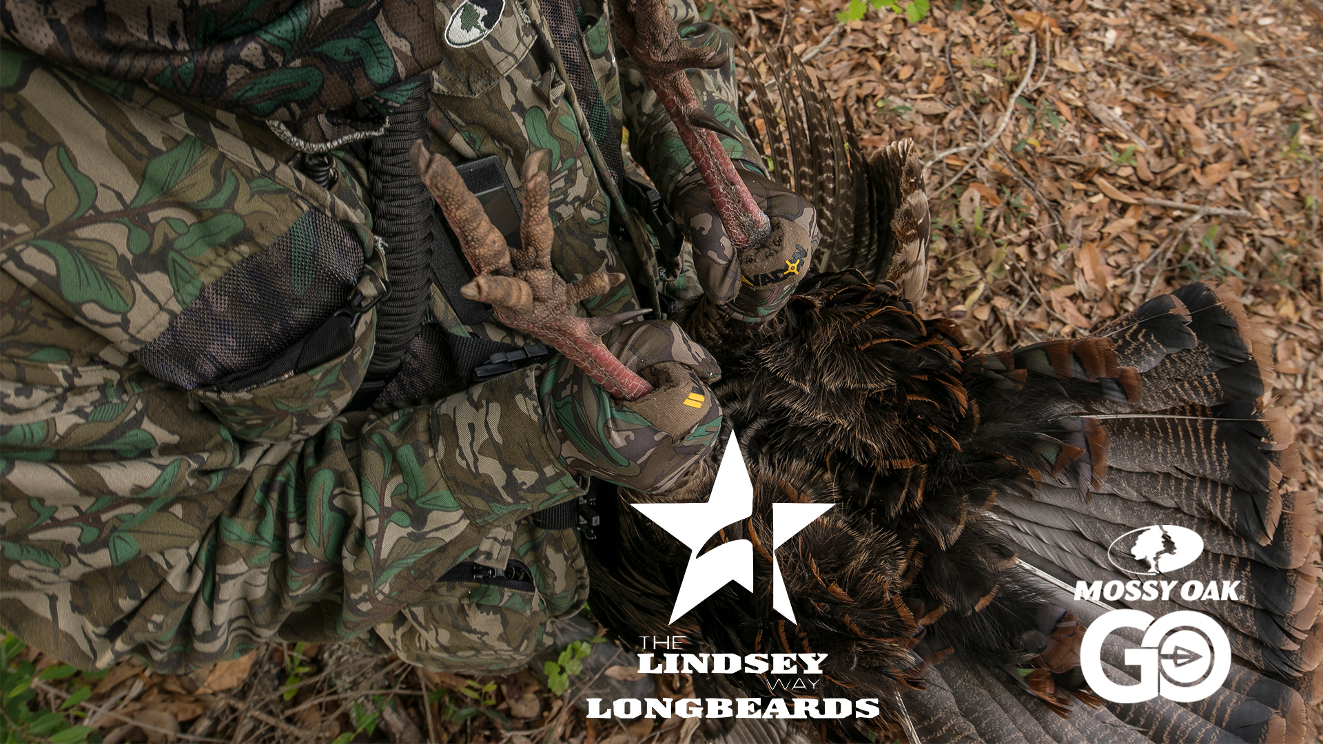 The Blueberry Farm • Lindsey Way Longbeards