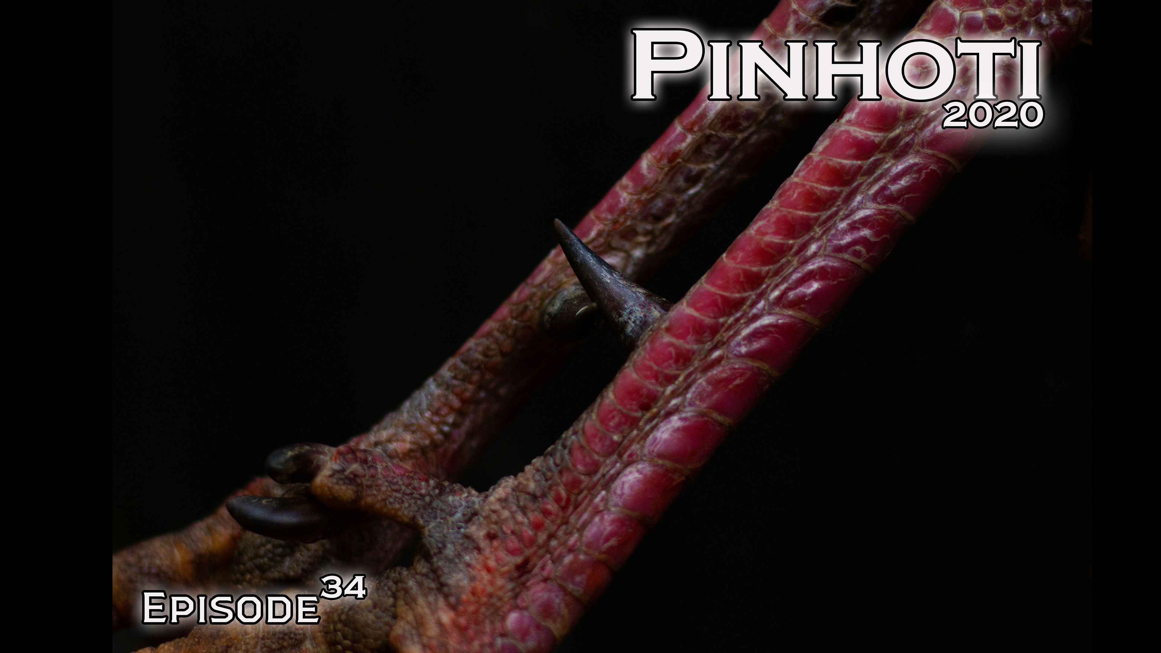 Pinhoti 2020 Ep 34 • Pinhoti Project