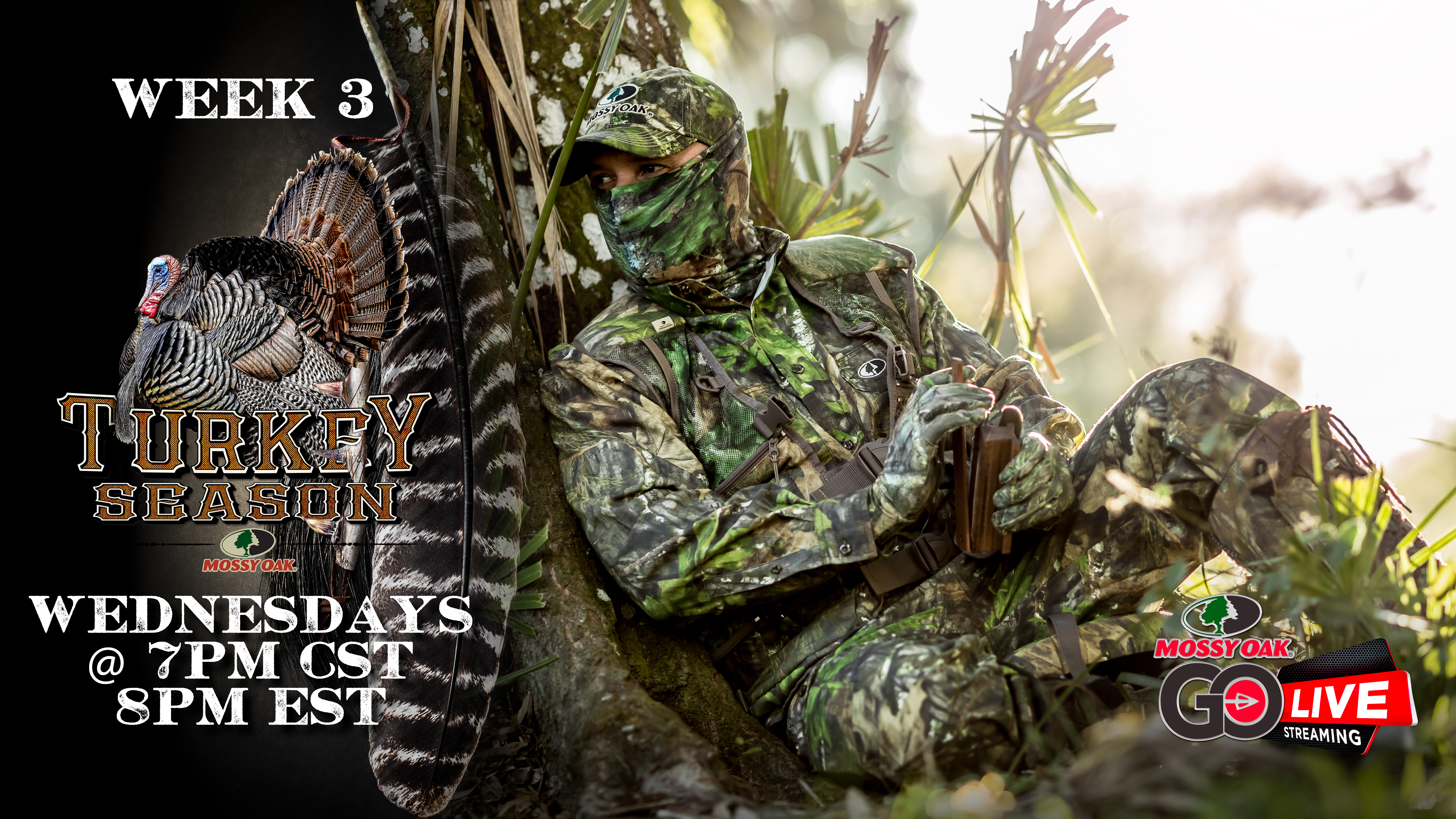 LIVE: 3.11.2020 Turkey Season Replay