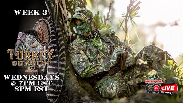 LIVE: 3.11.2020 Turkey Season Replay