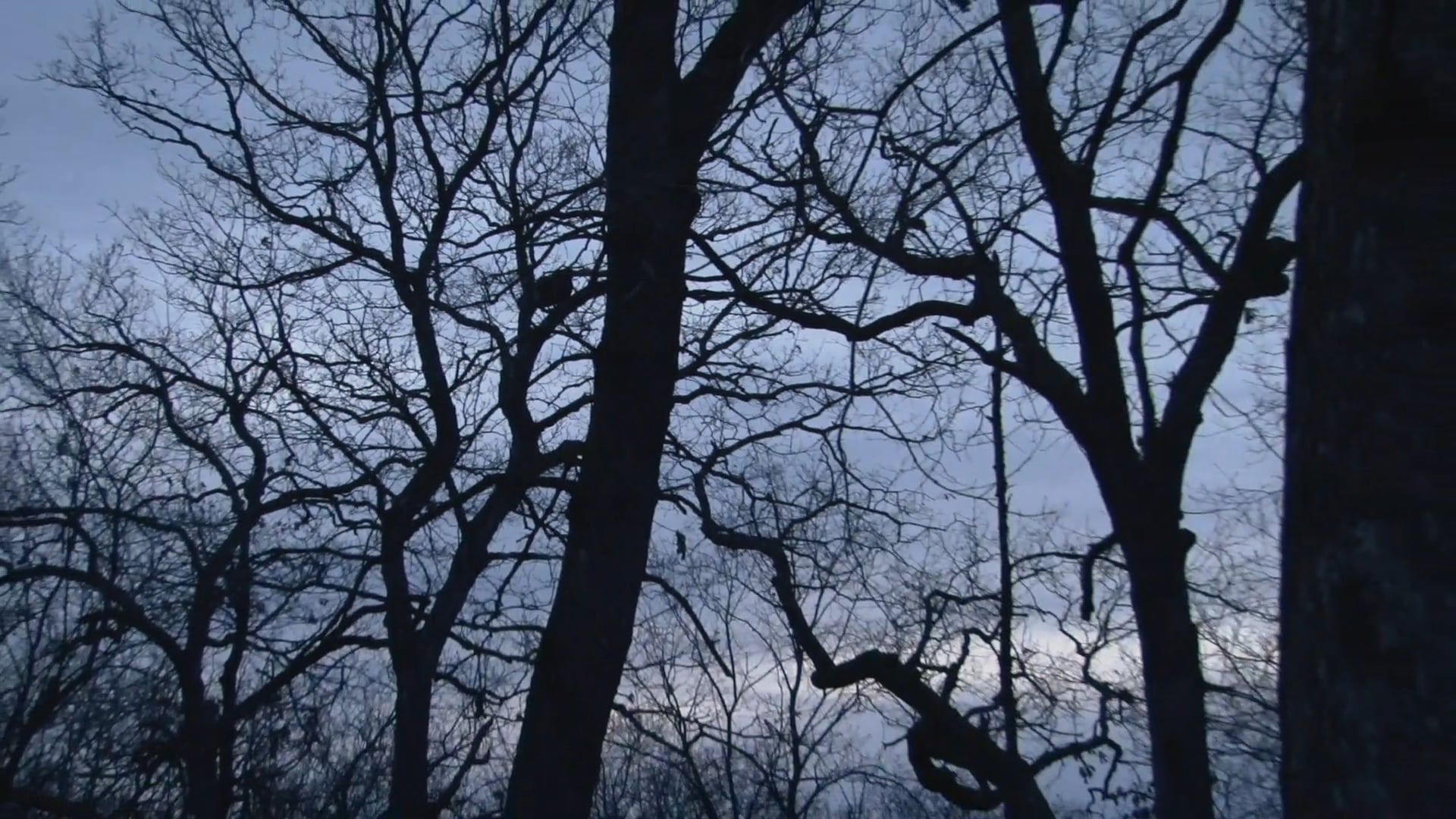 A Long Time Coming • NBK Episode 8 S5