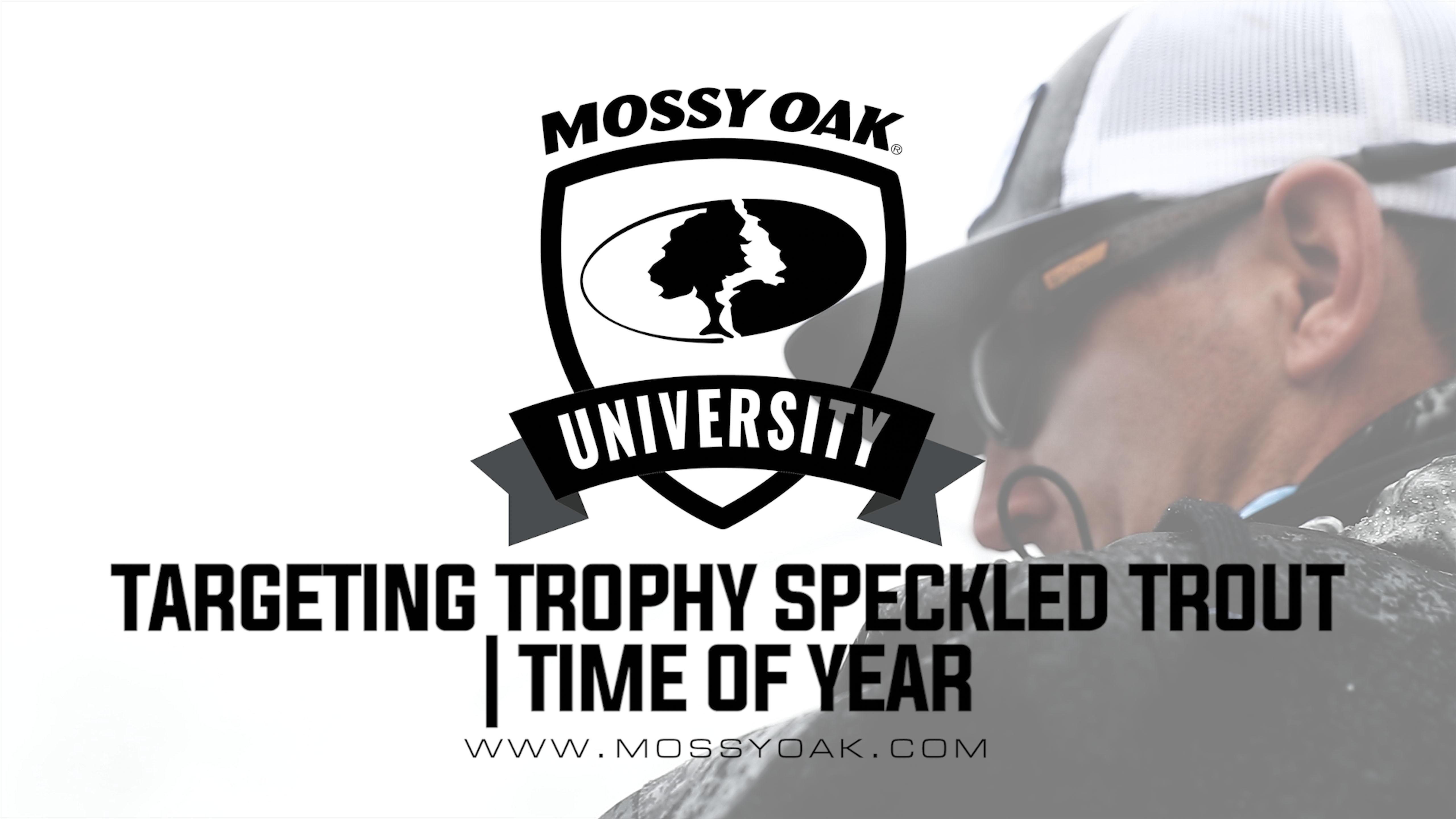 Best Time of Year to Catch Big Speckled Trout