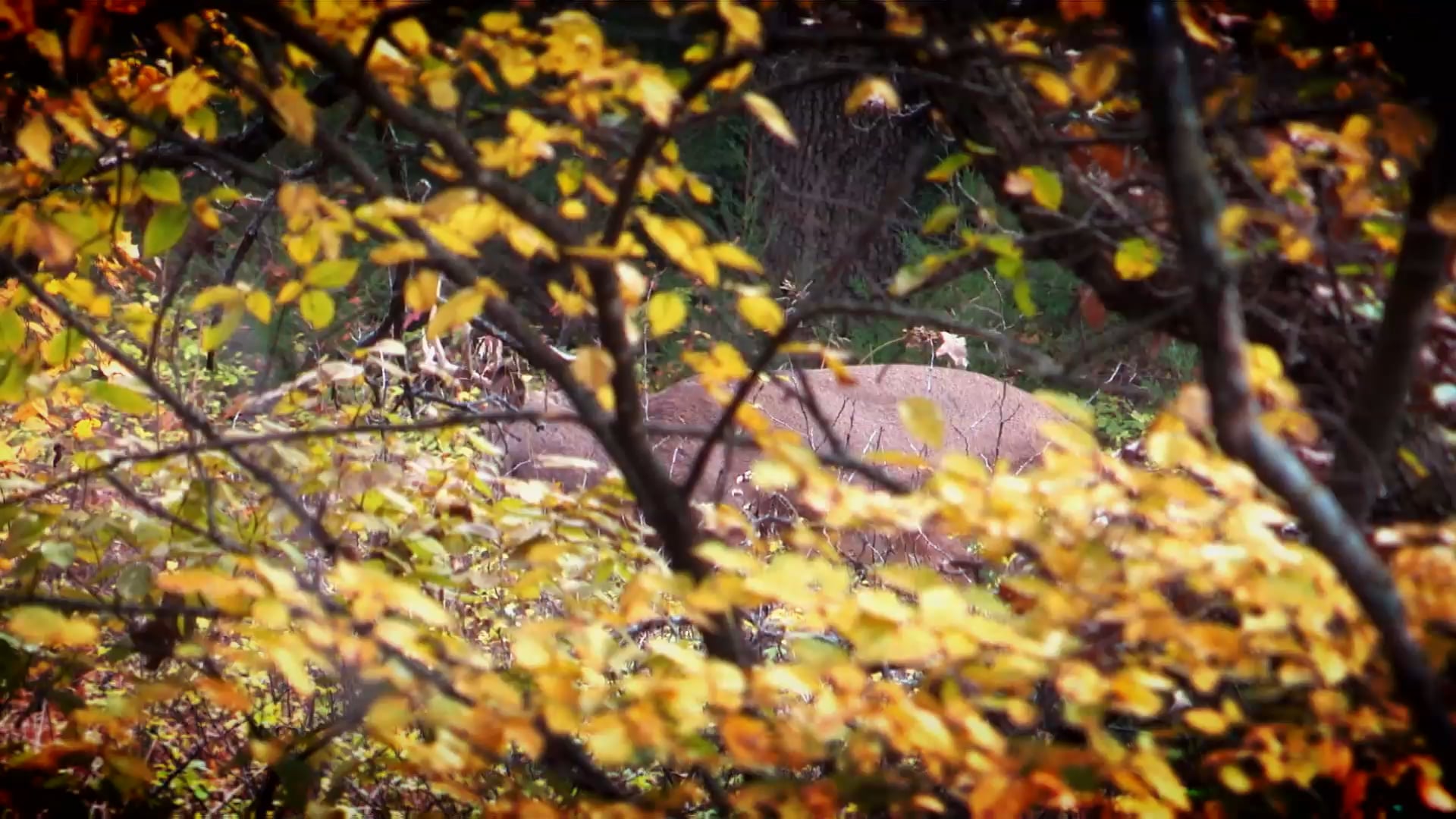 Breaking New Ground • Learning on the Move