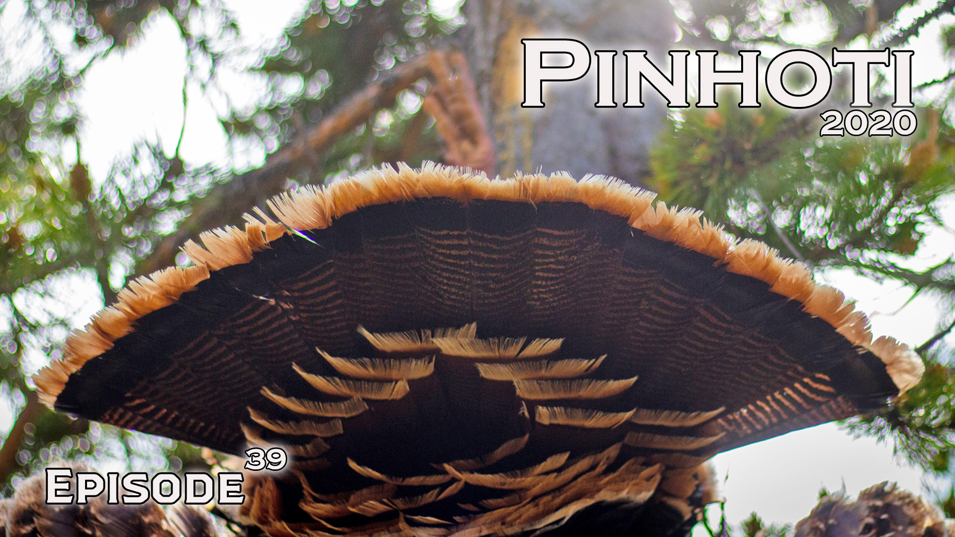 Pinhoti 2020 Ep 39 • Pinhoti Project