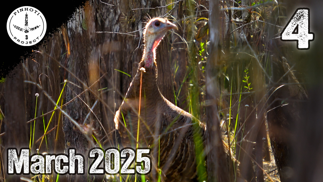 Pinhoti 2025 Ep 4 • Pinhoti Project