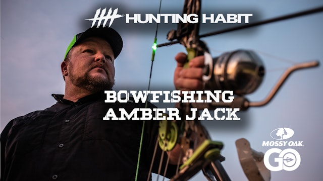 Hunting Habit · Bowfishing Amber Jack
