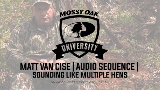 How to sound like multiple turkeys - ...