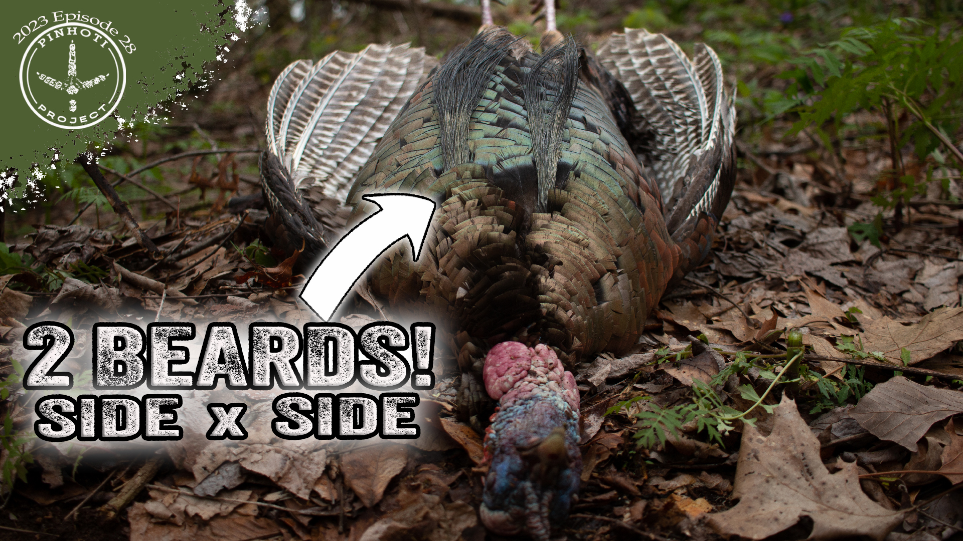 Pinhoti 2023 Ep 28 • Pinhoti Project