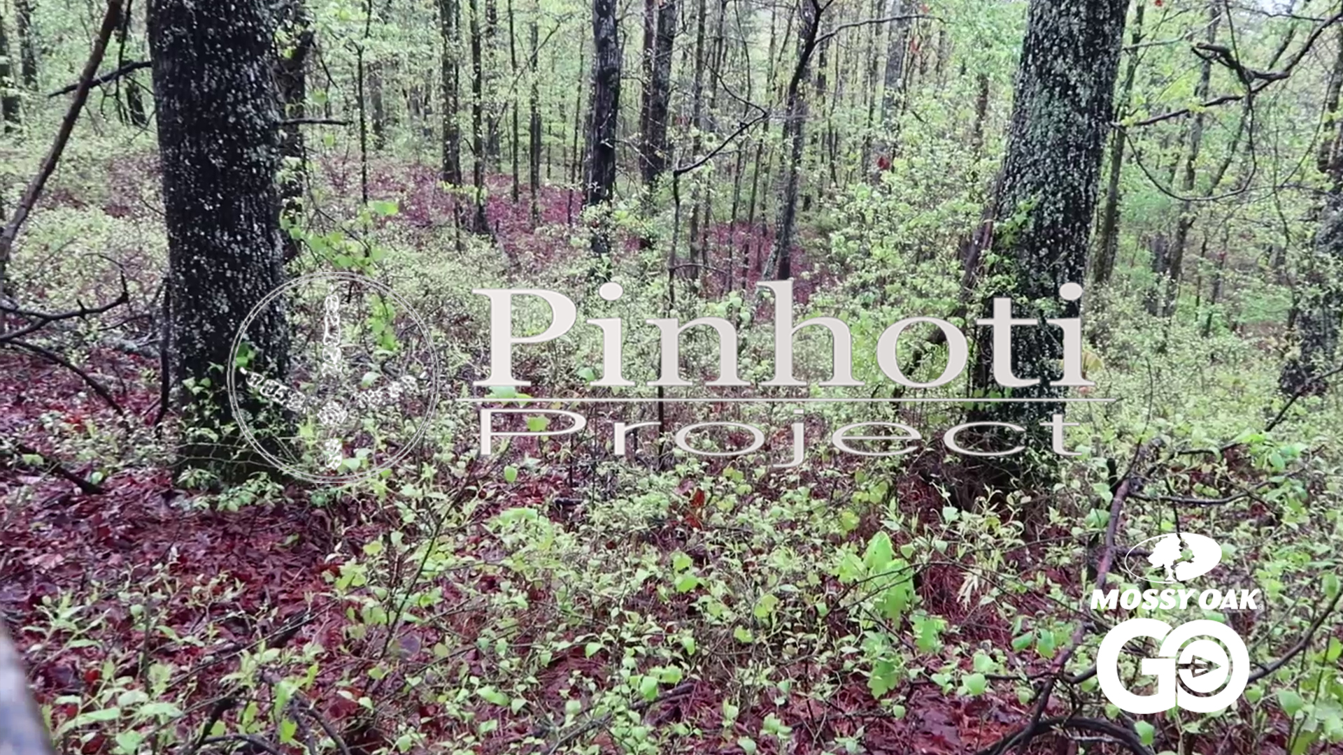 Learning A Gobbler • Pinhoti Project Day 48.49