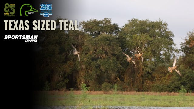 Texas Sized Teal • DU TV