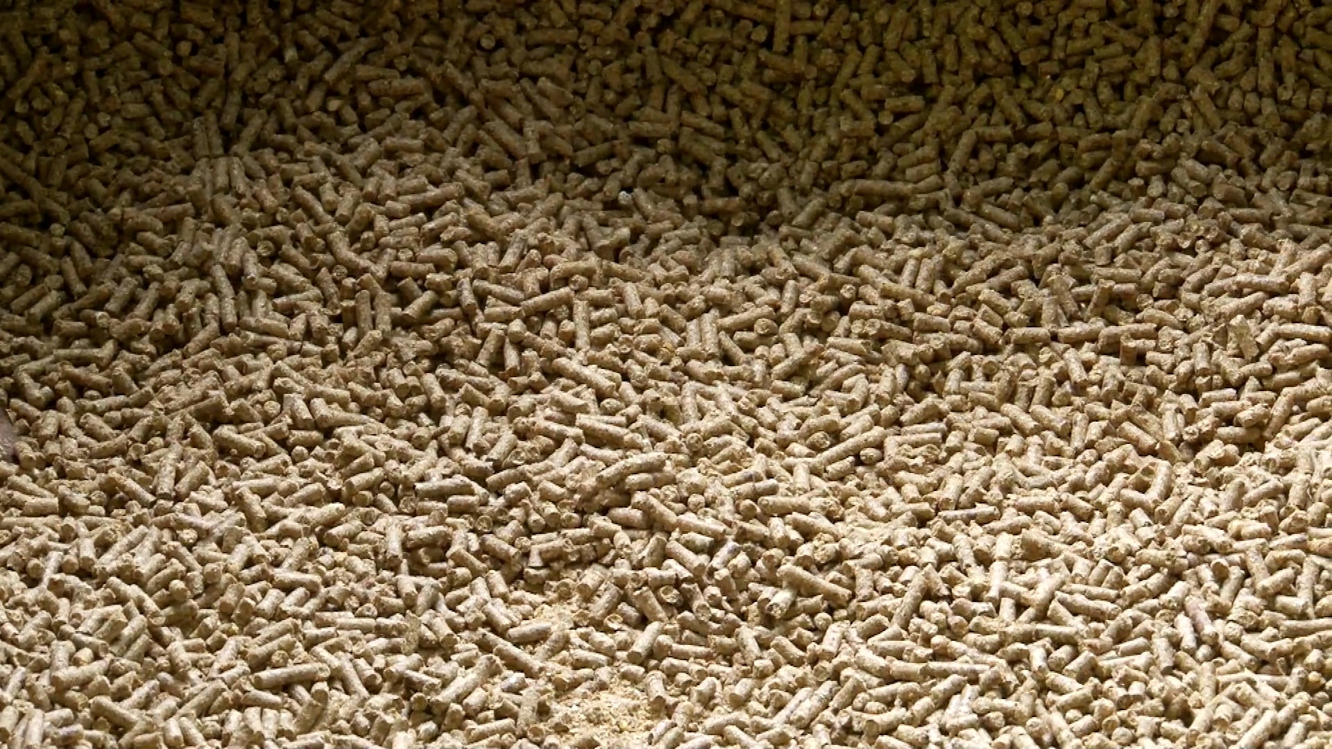 Diversity is Key • Habitat for All Wildlife