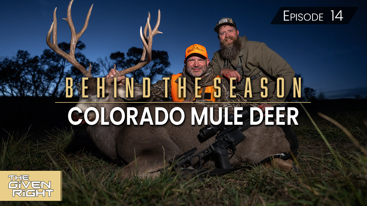 Colorado Mule Deer • Behind the Season