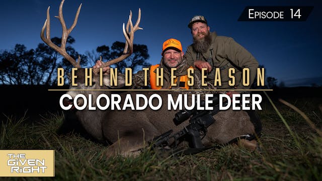 Colorado Mule Deer • Behind the Season