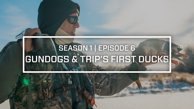 Last Pass Episode 6 • Gundogs & Trip's First Ducks • Final Approach