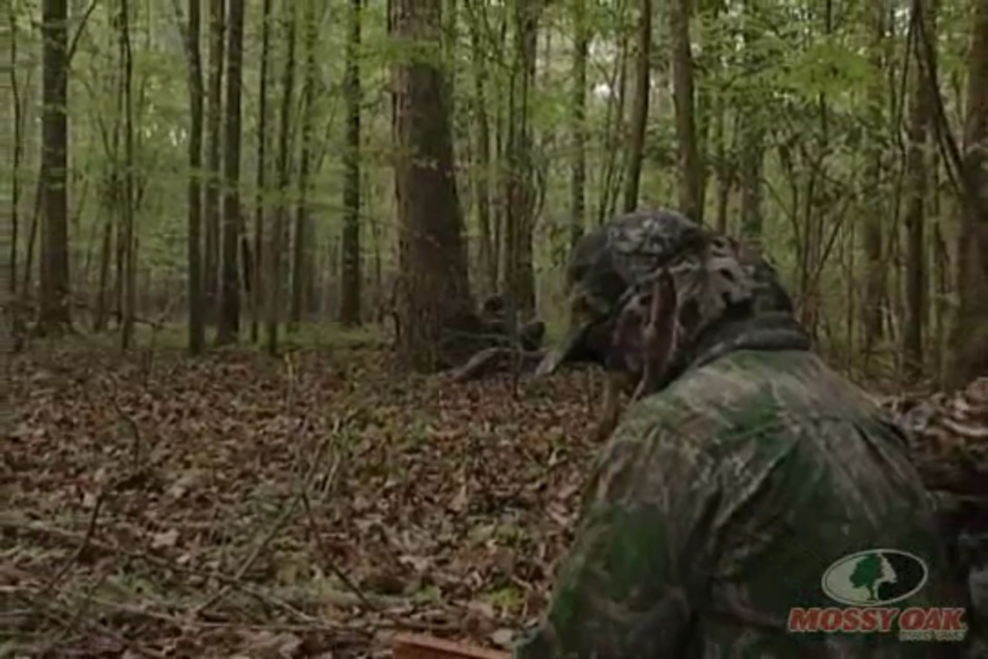 Over a Kid's Shoulder