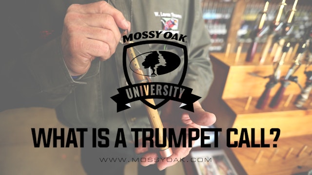 What Is A Trumpet Call?