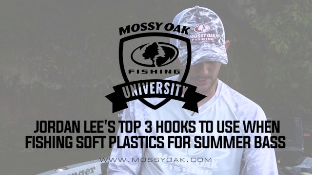 Top 3 Hooks To Use When Fishing Soft Plastics