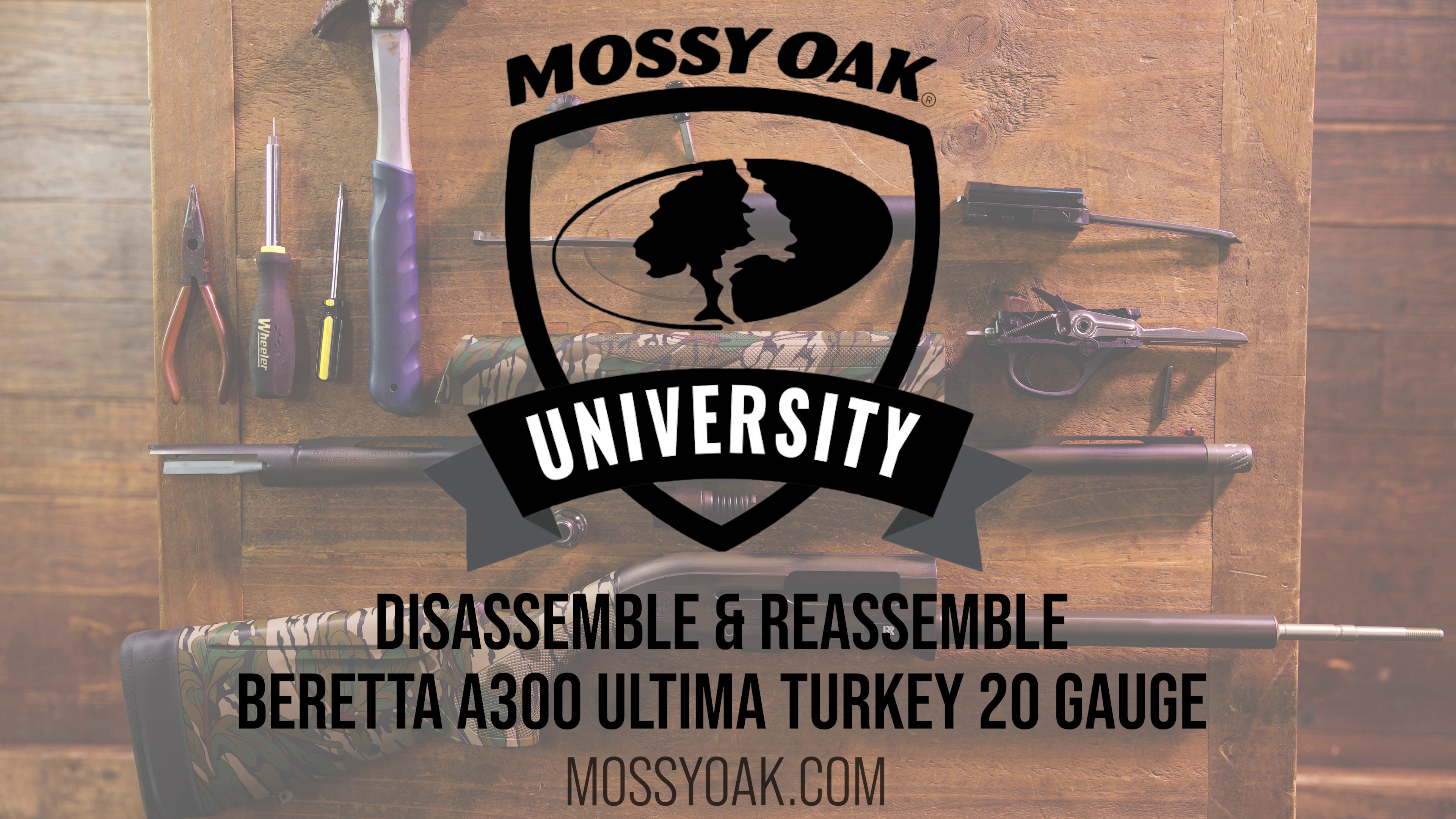 Beretta A300 Ultima 20 Gauge Breakdown Guide
